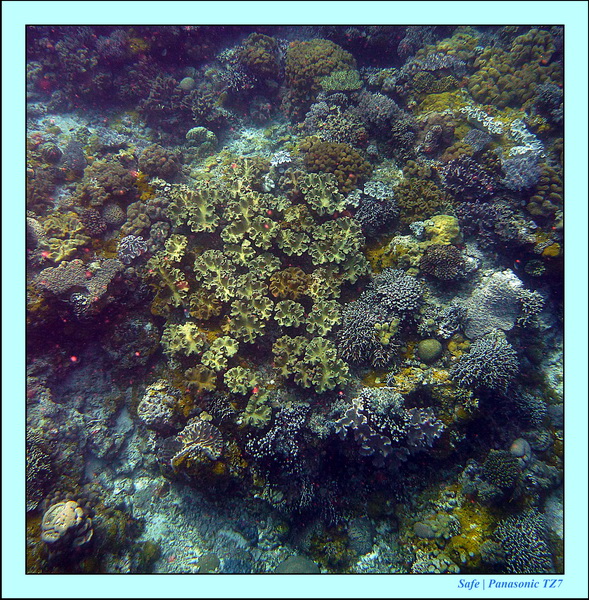 2012 - 07 - Apoh Island 05